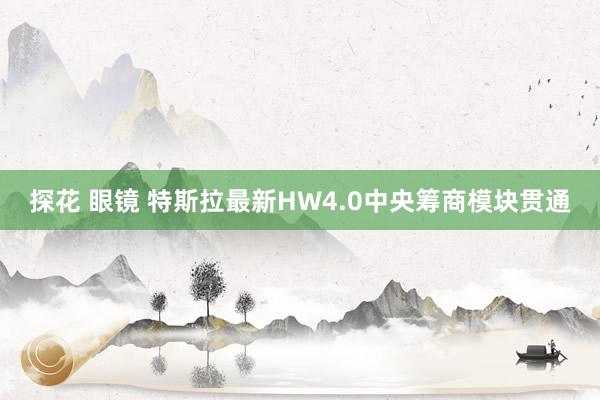 探花 眼镜 特斯拉最新HW4.0中央筹商模块贯通