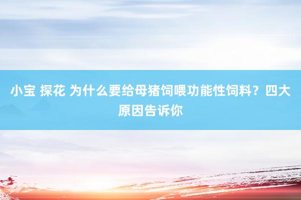 小宝 探花 为什么要给母猪饲喂功能性饲料？四大原因告诉你