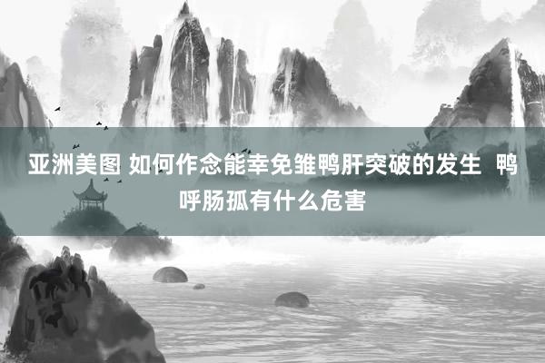 亚洲美图 如何作念能幸免雏鸭肝突破的发生  鸭呼肠孤有什么危害