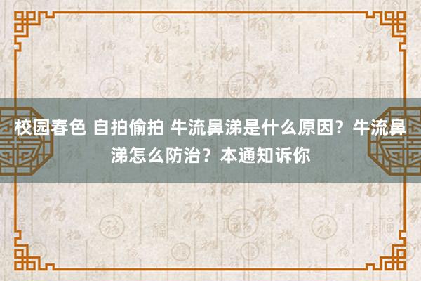 校园春色 自拍偷拍 牛流鼻涕是什么原因？牛流鼻涕怎么防治？本通知诉你