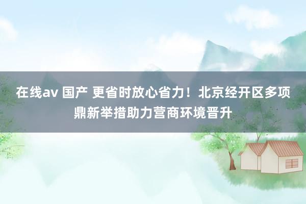 在线av 国产 更省时放心省力！北京经开区多项鼎新举措助力营商环境晋升