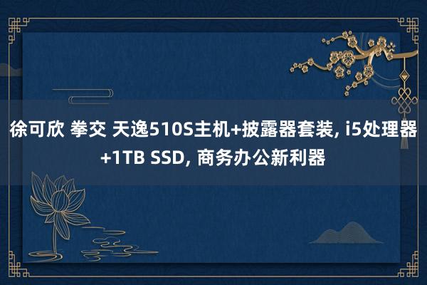 徐可欣 拳交 天逸510S主机+披露器套装， i5处理器+1TB SSD， 商务办公新利器