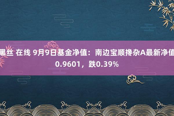 黑丝 在线 9月9日基金净值：南边宝顺搀杂A最新净值0.9601，跌0.39%