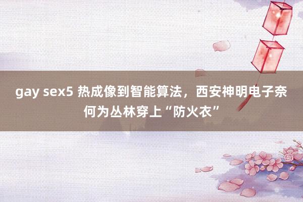 gay sex5 热成像到智能算法，西安神明电子奈何为丛林穿上“防火衣”