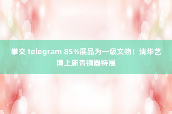 拳交 telegram 85%展品为一级文物！清华艺博上新青铜器特展