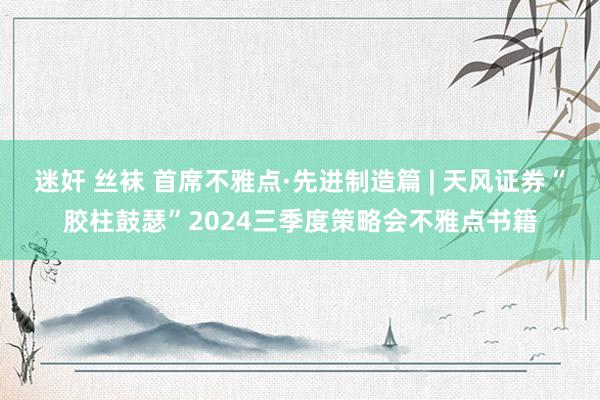 迷奸 丝袜 首席不雅点·先进制造篇 | 天风证券“胶柱鼓瑟”2024三季度策略会不雅点书籍