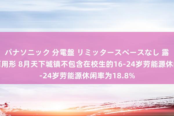 パナソニック 分電盤 リミッタースペースなし 露出・半埋込両用形 8月天下城镇不包含在校生的16-24岁劳能源休闲率为18.8%