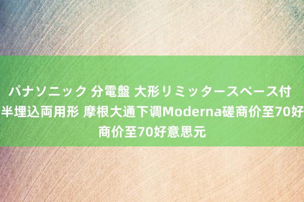 パナソニック 分電盤 大形リミッタースペース付 露出・半埋込両用形 摩根大通下调Moderna磋商价至70好意思元