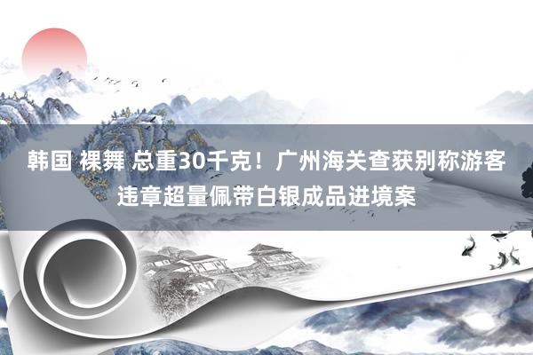 韩国 裸舞 总重30千克！广州海关查获别称游客违章超量佩带白银成品进境案