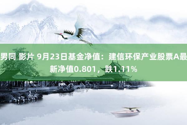 男同 影片 9月23日基金净值：建信环保产业股票A最新净值0.801，跌1.11%