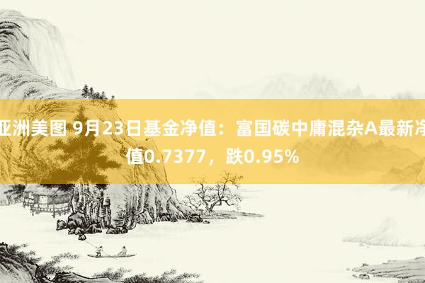 亚洲美图 9月23日基金净值：富国碳中庸混杂A最新净值0.7377，跌0.95%