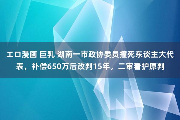 エロ漫画 巨乳 湖南一市政协委员撞死东谈主大代表，补偿650万后改判15年，二审看护原判