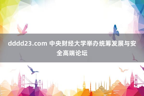 dddd23.com 中央财经大学举办统筹发展与安全高端论坛