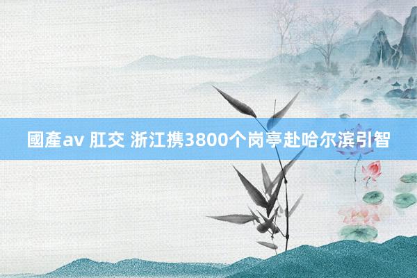 國產av 肛交 浙江携3800个岗亭赴哈尔滨引智