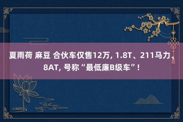 夏雨荷 麻豆 合伙车仅售12万， 1.8T、211马力、8AT， 号称“最低廉B级车”!