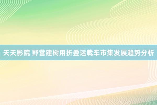 天天影院 野营建树用折叠运载车市集发展趋势分析