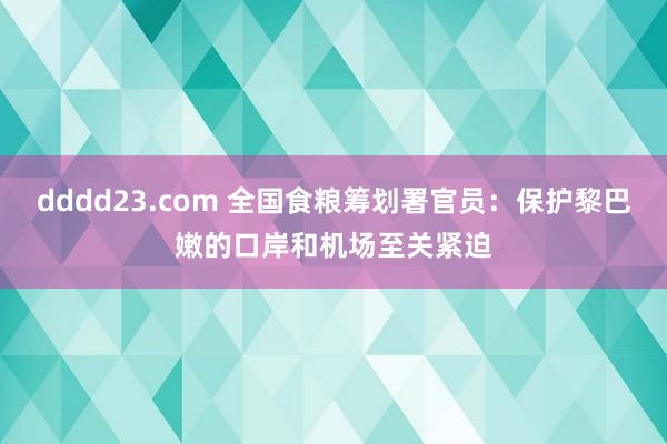 dddd23.com 全国食粮筹划署官员：保护黎巴嫩的口岸和机场至关紧迫