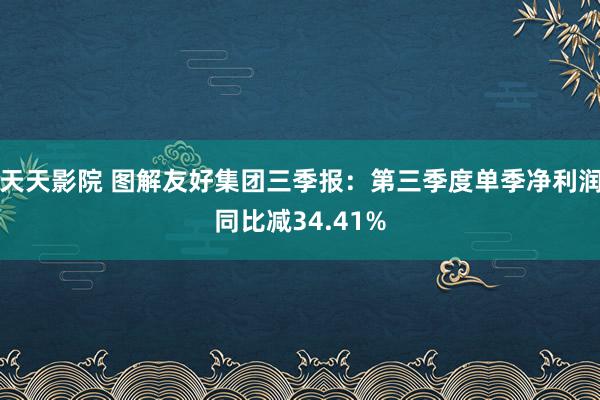 天天影院 图解友好集团三季报：第三季度单季净利润同比减34.41%