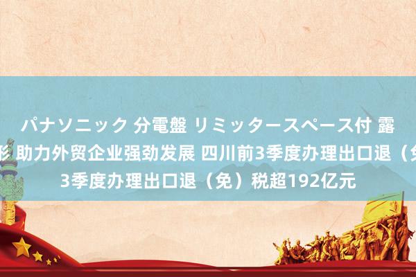 パナソニック 分電盤 リミッタースペース付 露出・半埋込両用形 助力外贸企业强劲发展 四川前3季度办理出口退（免）税超192亿元