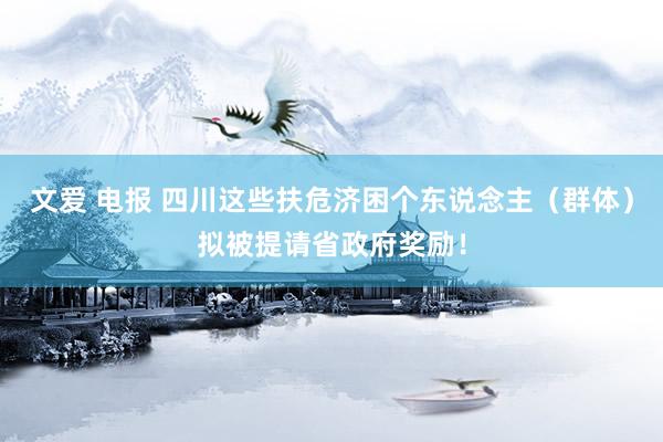 文爱 电报 四川这些扶危济困个东说念主（群体）拟被提请省政府奖励！