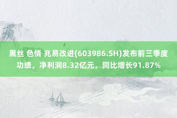 黑丝 色情 兆易改进(603986.SH)发布前三季度功绩，净利润8.32亿元，同比增长91.87%