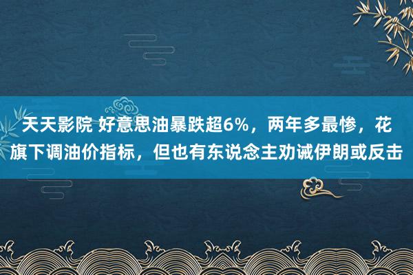 天天影院 好意思油暴跌超6%，两年多最惨，花旗下调油价指标，但也有东说念主劝诫伊朗或反击