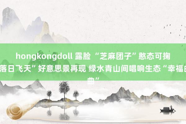 hongkongdoll 露脸 “芝麻团子”憨态可掬 “落日飞天”好意思景再现 绿水青山间唱响生态“幸福曲”