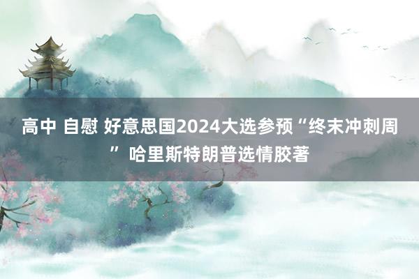 高中 自慰 好意思国2024大选参预“终末冲刺周” 哈里斯特朗普选情胶著