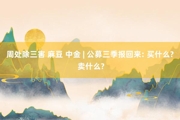 周处除三害 麻豆 中金 | 公募三季报回来: 买什么? 卖什么?