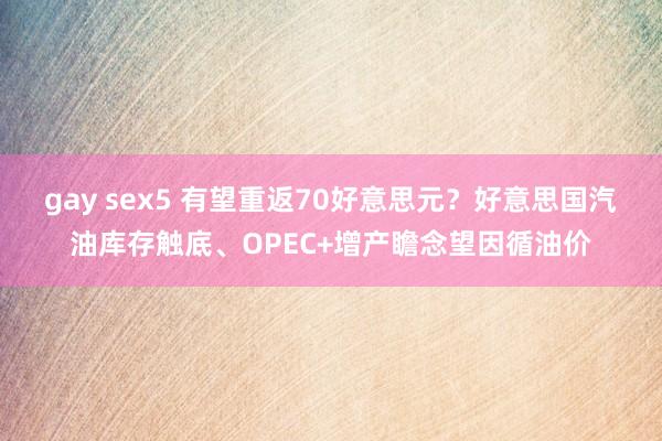 gay sex5 有望重返70好意思元？好意思国汽油库存触底、OPEC+增产瞻念望因循油价