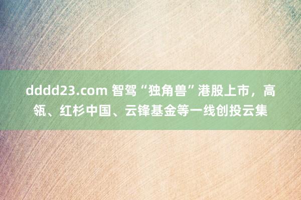 dddd23.com 智驾“独角兽”港股上市，高瓴、红杉中国、云锋基金等一线创投云集