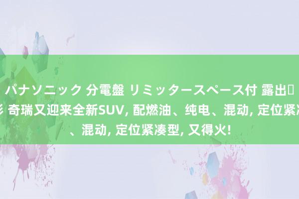 パナソニック 分電盤 リミッタースペース付 露出・半埋込両用形 奇瑞又迎来全新SUV， 配燃油、纯电、混动， 定位紧凑型， 又得火!