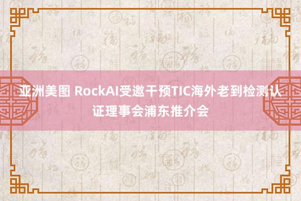 亚洲美图 RockAI受邀干预TIC海外老到检测认证理事会浦东推介会