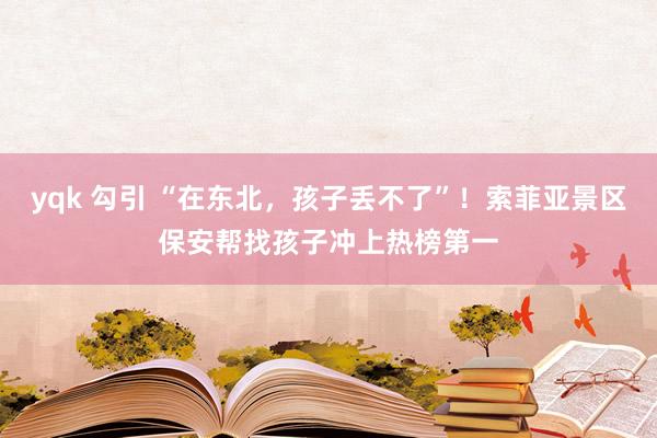 yqk 勾引 “在东北，孩子丢不了”！索菲亚景区保安帮找孩子冲上热榜第一