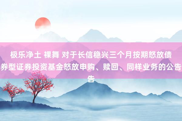 极乐净土 裸舞 对于长信稳兴三个月按期怒放债券型证券投资基金怒放申购、赎回、同样业务的公告