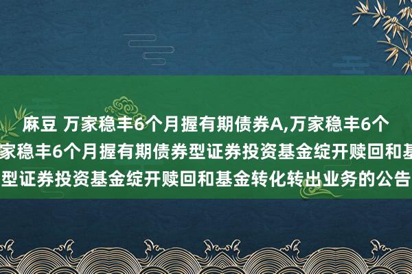 麻豆 万家稳丰6个月握有期债券A，万家稳丰6个月握有期债券C: 对于万家稳丰6个月握有期债券型证券投资基金绽开赎回和基金转化转出业务的公告