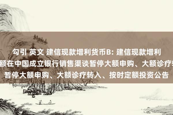 勾引 英文 建信现款增利货币B: 建信现款增利货币市集基金B类基金份额在中国成立银行销售渠谈暂停大额申购、大额诊疗转入、按时定额投资公告