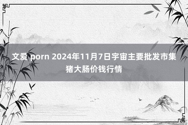 文爱 porn 2024年11月7日宇宙主要批发市集猪大肠价钱行情