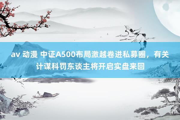 av 动漫 中证A500布局激越卷进私募圈，有关计谋科罚东谈主将开启实盘来回