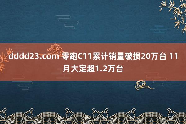 dddd23.com 零跑C11累计销量破损20万台 11月大定超1.2万台