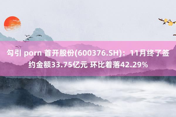 勾引 porn 首开股份(600376.SH)：11月终了签约金额33.75亿元 环比着落42.29%