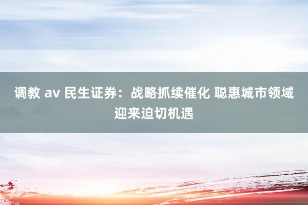 调教 av 民生证券：战略抓续催化 聪惠城市领域迎来迫切机遇