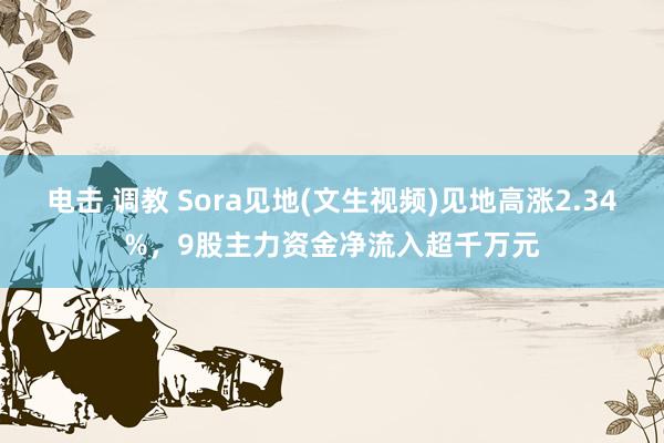 电击 调教 Sora见地(文生视频)见地高涨2.34%，9股主力资金净流入超千万元