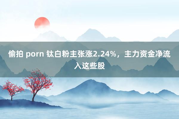 偷拍 porn 钛白粉主张涨2.24%，主力资金净流入这些股