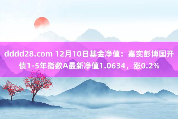 dddd28.com 12月10日基金净值：嘉实彭博国开债1-5年指数A最新净值1.0634，涨0.2%