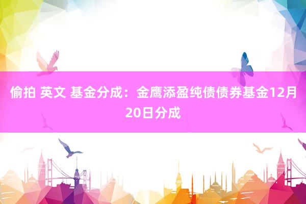 偷拍 英文 基金分成：金鹰添盈纯债债券基金12月20日分成