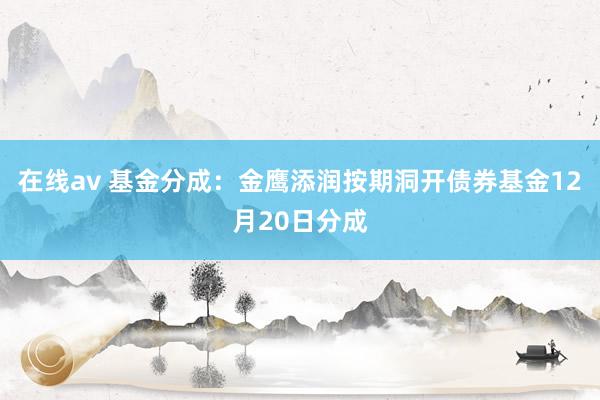 在线av 基金分成：金鹰添润按期洞开债券基金12月20日分成