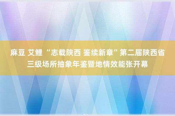 麻豆 艾鲤 “志载陕西 鉴续新章”第二届陕西省三级场所抽象年鉴暨地情效能张开幕