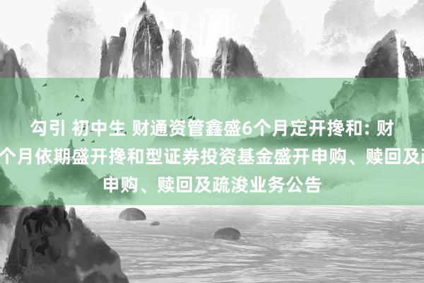 勾引 初中生 财通资管鑫盛6个月定开搀和: 财通资管鑫盛6个月依期盛开搀和型证券投资基金盛开申购、赎回及疏浚业务公告