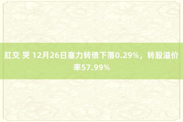 肛交 哭 12月26日塞力转债下落0.29%，转股溢价率57.99%